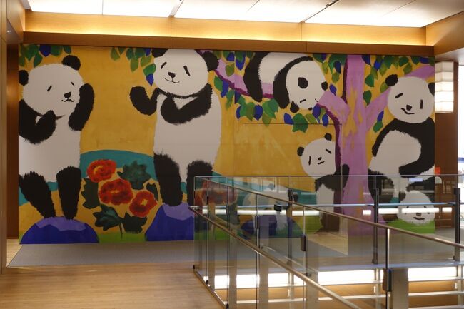 パンダちゃん！