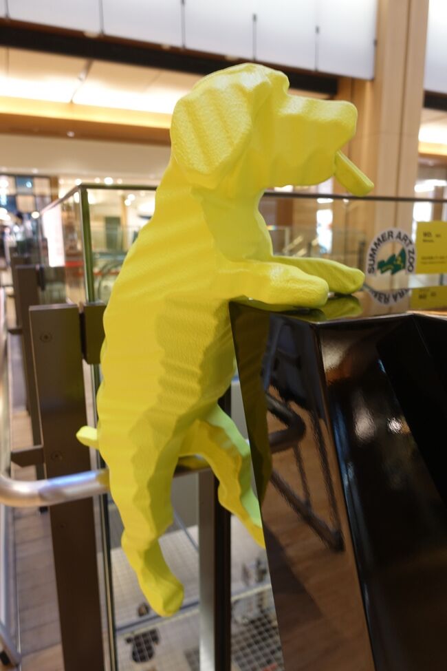 わんちゃん！<br />可愛い！