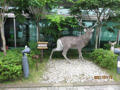 約１時間半後、無事に釧路空港に到着。

空港の出入り口では鹿のオブジェがお出迎え。
説明板には”冬毛の牡鹿”って…、？？