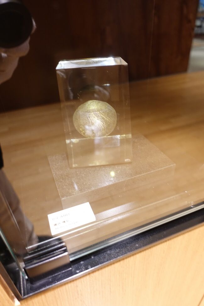 閉じ込められた謎の生物の卵風