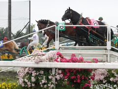 帯広競馬場(ばんえい十勝)