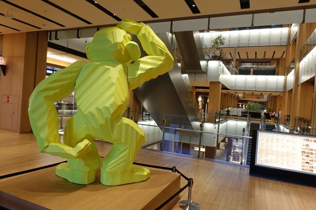 お猿さんはどこみてるのかな？