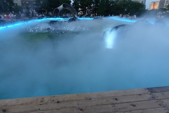 かなりな霧です。