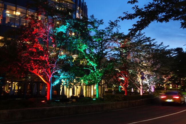 やぁ～なかなか楽しめました～<br />街路樹もライトアップか～<br /><br />もう一回見てみましょ（←しつこいw）