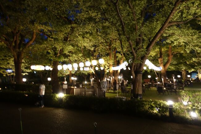 お昼に入ったカフェ。<br /><br />夜だと雰囲気抜群だね。