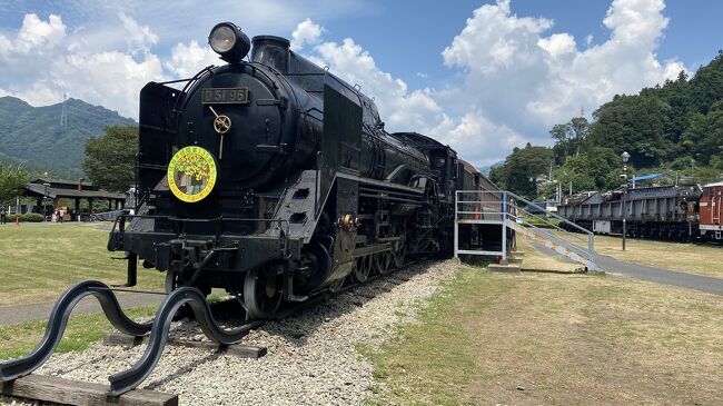 青春18きっぷで行く 長野グルメ2人旅 ２ 馬刺 戸隠そばと鉄道文化村 峠の釜飯編 軽井沢 長野県 の旅行記 ブログ By マニー1980さん フォートラベル