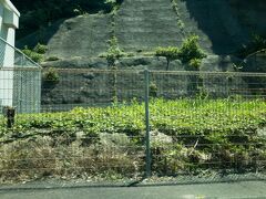 ■行川アイランド駅

外房線のプチ秘境駅として有名な行川アイランド駅。

2001年までは近くに行川アイランドというレジャー施設がありましたが閉園してしまい周りに何も無いので、1日平均乗車人員は※19人と外房線の駅の中で1番少なくなっています。　※2006年のデータ