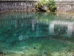 日本名水百選にも選ばれている
「別府弁天池湧水」に到着～

このきれいな色の水、青い水の絶景好きとしては外せないスポットです。
晴れていれば、コバルトブルーの色なのですが、
この時は少し日が陰り、先程見た「瑞風」のグリーンを思わせる
ちょっと濃い目のエメラルドグリーン。
