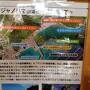 やっとGOTO利用　三密避けてまたまた阿嘉島に帰ってきた「よ」 3泊4日（3日目と4日目）