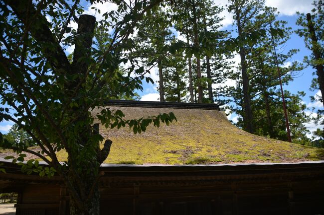 不動堂<br />苔むした屋根