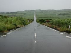 私が喜界島で最も見たかった景色です。富良野のジェットコースターの路のようです。

シュガーロード