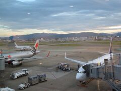 さすが福岡空港！
色々な航空会社の飛行機が飛び交っています。