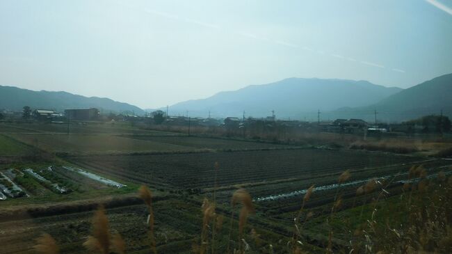 　ローカル列車は奈良と大阪に県境に連なる金剛、葛城山地に沿って走ります（帰りの電車で撮影）。