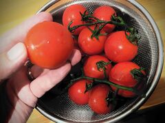 一旦ゲストハウスに戻り、一昨日、若松の大正町商店街で買った完熟トマトに塩をふって

ほとばしる果汁、旨い！　冷やしトマトで一服。