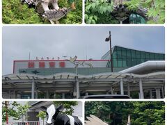 ［たんちょう釧路動物園空港］