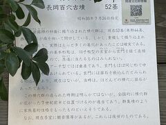 盛岡を目指していますが、今回はまず、前回寄ることが出来なかった「長岡百穴古墳」に寄りました。

百穴という名前ですが、穴は52個のようですね。