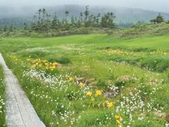 八幡平山頂遊歩道