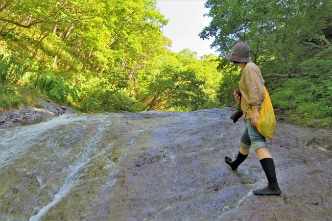 贅沢三昧 北海道 Climb Ride Eat Walk Gallop 知床8日間 Crewg旅 1 ウトロ 北海道 の旅行記 ブログ By ウェンディさん フォートラベル 贅沢三昧 北海道 Climb Ride Eat Walk Gallop 知床8日間 Crewg旅 1 ウトロ 北海道 の旅行記 ブログ By ウェンディさん フォートラベル