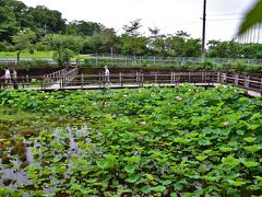 潮見坂平和公園調整池