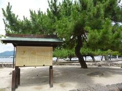 宮島に着きました。