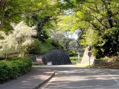佐倉城の跡地であり、博物館があるこの地は、現在佐倉城址公園となっています。ここまでJR佐倉駅から25分と少し歩きました。