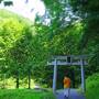 酒田三大滝で涼み旅。紫陽花乱舞の土門拳記念館。湯野浜いさごやで彩空を愉しむ。