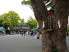 宇土櫓の隣に建つのは、熊本城城主だった加藤清正公を祀る神社“加藤神社”。