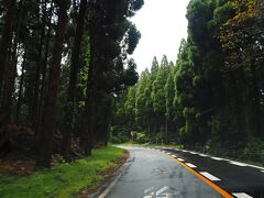 地面は湿っているけど、雨が完全に上がったので出発。