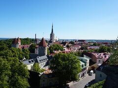 タリン駅側からアクセスした場合、Šnelli parkからパットクリ階段を上がり、山の手にアクセスします　その階段を登ったところにあるのがこのパットクリ展望台　こちらの展望台からは聖オレフ教会と赤いとんがり屋根の塔がある風景が楽しめます