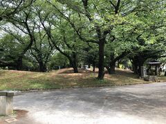 公園に到着。かなり広い。