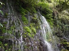高千穂峡へ
高千穂神社から歩いて15分ということで歩いたがすごい勾配のS字カーブを下っていく。帰りは絶対歩きたくない…
坂を下る途中の道には天然の滝が