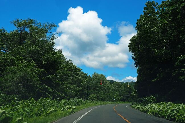 道路沿いの赤白矢羽根標識（積雪地帯で道の端を教える）が続く、何もない道をひたすら走って…