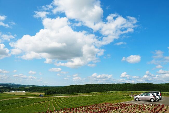 14：00富良野に到着し、“日の出公園ラベンダー園”へ。<br />新千歳空港に到着した時は曇りがちの気温19℃で、半袖だと肌寒さを感じたけど、移動するにつれてだんだん気温も上がったようで、富良野はなんと26℃もあった。<br />小高い丘へと続く坂道を車で上がっていくと、北海道らしさを感じる広々した風景が広がる。<br />