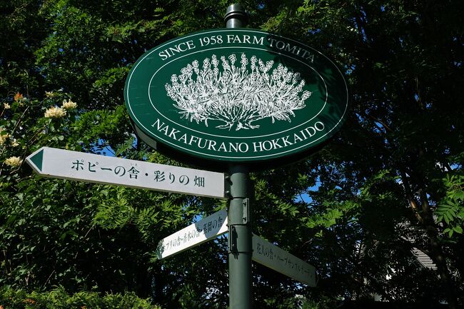 続いて訪れたのは、車で5分ほど離れた場所にある“ファーム冨田”。<br />ラベンダーを中心に80種類もの花々が楽しめるようになっており。園内には12の花畑があるそう。