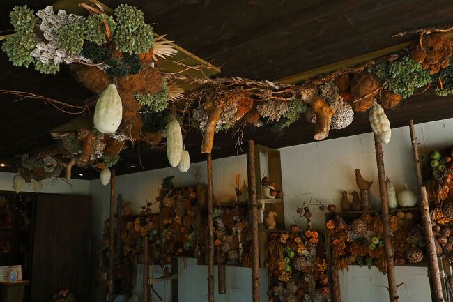 その隣のドライフラワーの舎は、森に彷徨ったような雰囲気が素敵で…