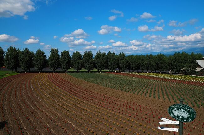 展望台に上がって高い場所から見下ろす。