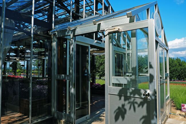 温室を見つけたので入ってみると…