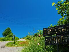 来た道をUターンしてそのまま真っすぐ進んでいくと、また坂道が始まって“TAKIZAWA WINERY”の丘陵に続いていた。