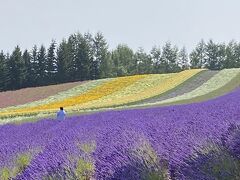 ファーム富田