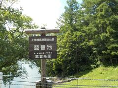 車を止める所がなかったので、車窓で