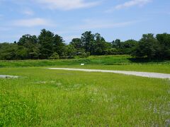 アヤメが咲いている時期はきれいなのかな～