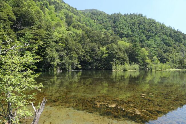 上高地　美しい明神池♪