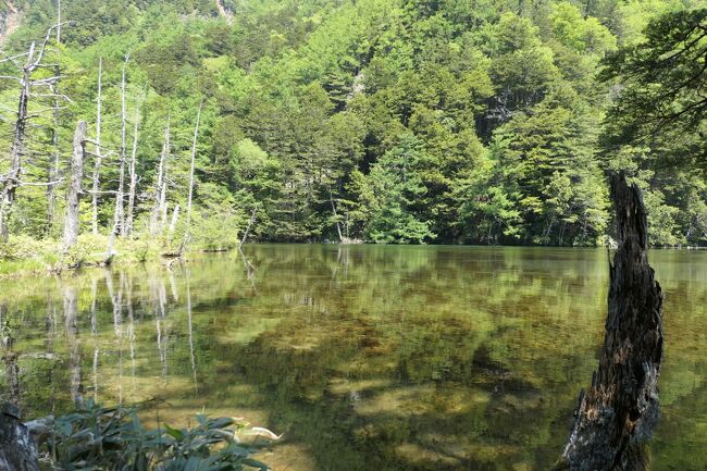 上高地　美しい明神池♪