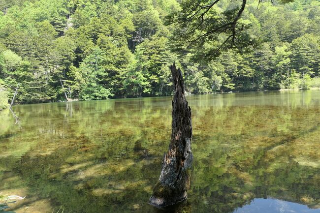 上高地　美しい明神池♪