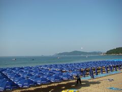 大雑把な人には向かないであろう、パラソル並べ。

きちんと真っ直ぐになっているか、
社長の代わりに、後ろからチェック。