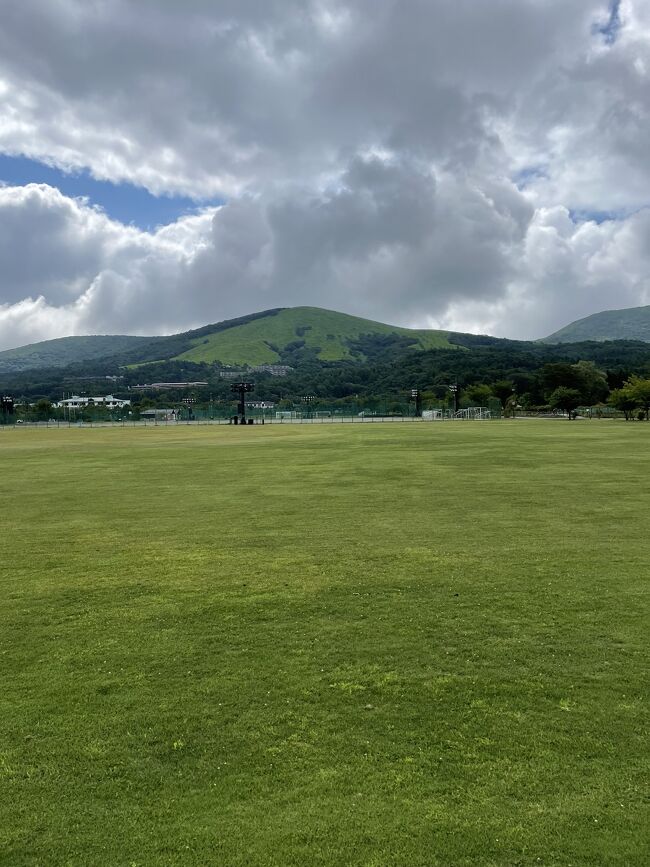 犬を連れてきたら喜びそうです