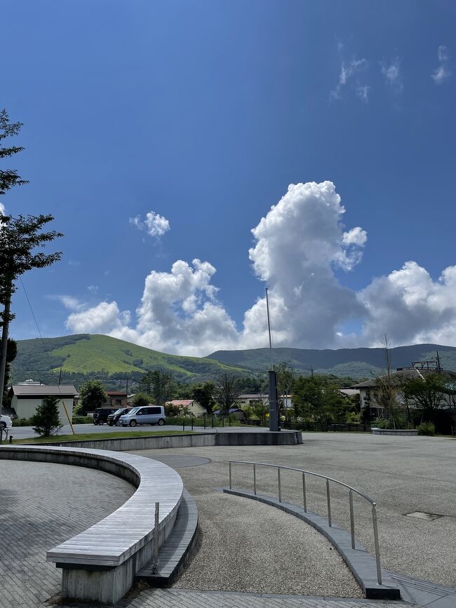 帰る今日は快晴です。マイナスイオンを吸って元気になりました。