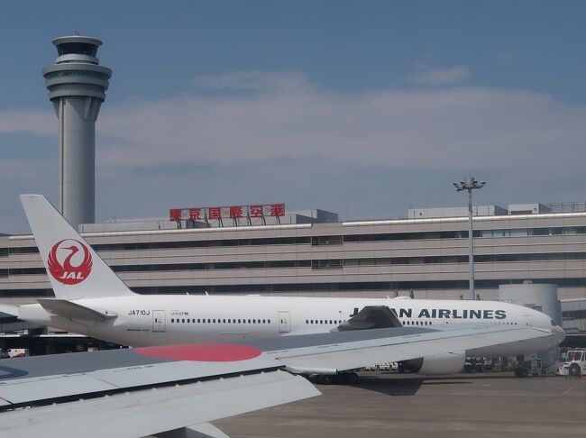 鹿児島行 日本航空-JAL649便/48K 空席7割？ ☆離陸13:35-八景島/江の島