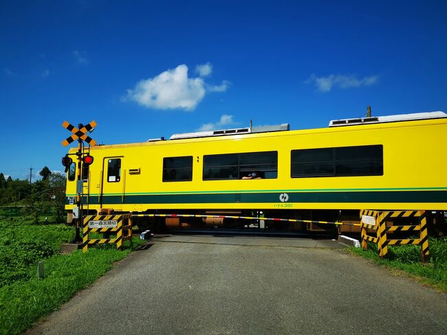 行先サボ　大原－大多喜　いすみ鉄道 DSXZQO6470544031052025000000-1