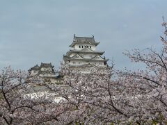 満開を過ぎていましたが、それでも何とか、桜の花がきれいな姫路城を撮影できました。
